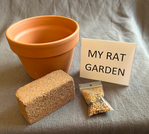 Garden for rats with a medium pot