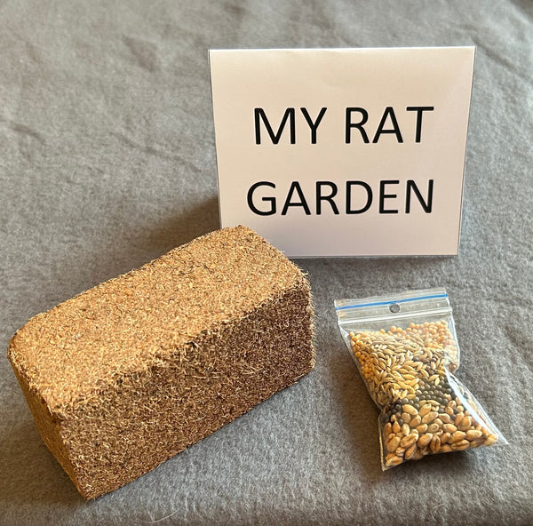 Garden for rats - coir and seeds only