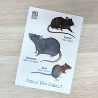 Print  - NZ rats A3