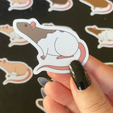 Rat stickers 2” vinyl