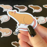 Rat stickers 2” vinyl