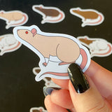 Rat stickers 2” vinyl