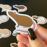 Rat stickers 2” vinyl