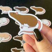 Rat stickers 2” vinyl