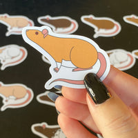 Rat stickers 2” vinyl