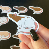 Rat stickers 2” vinyl