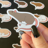 Rat stickers 2” vinyl