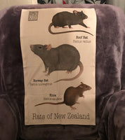 Tea towel - NZ Rats