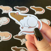 Rat stickers 2” vinyl