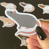 Rat stickers 2” vinyl